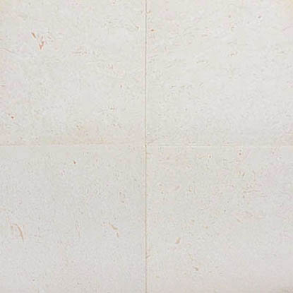 Limestone flooring