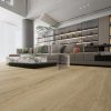 Vandyck Stella 817