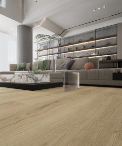 Vandyck Stella 817