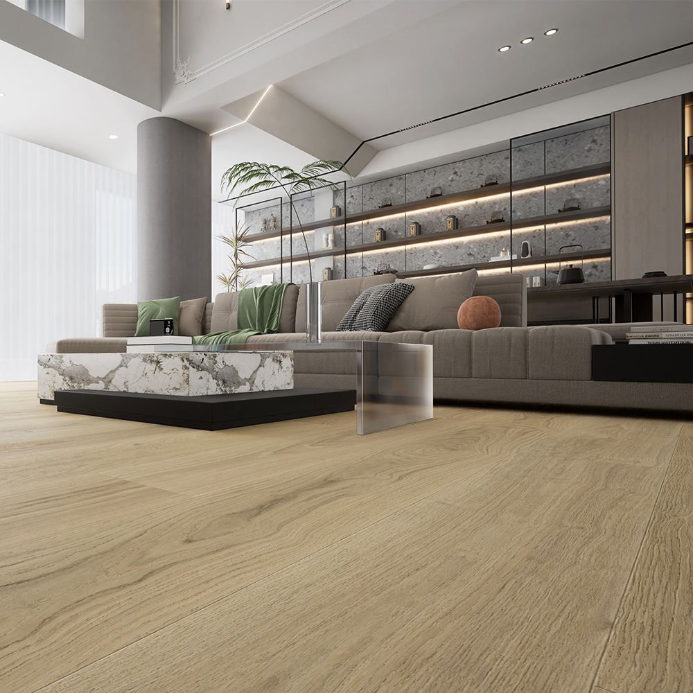 Vandyck Stella 817