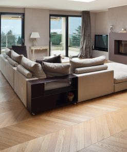Vandyck Bella 504
