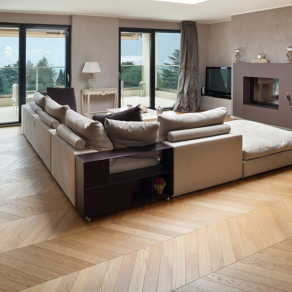 Vandyck Bella 504