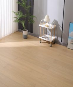 Vandyck Vita 605