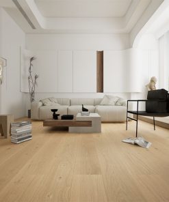 Vandyck Stella 804