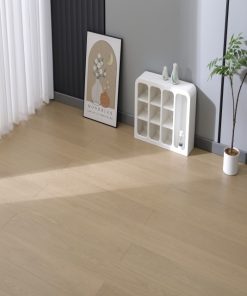 Vandyck Vita 607