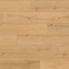 Johnson Hardwood Vortis Aspen Basalt – WPC vinyl plank flooring plank swatch