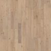 SLCC Solids Elden