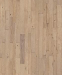 SLCC Solids Elden