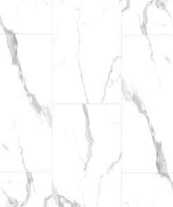 SLCC Prime Specimens Alabaster