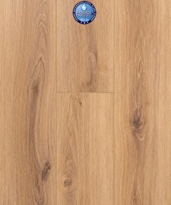 Provenza Moda Living Star Struck by Provenza