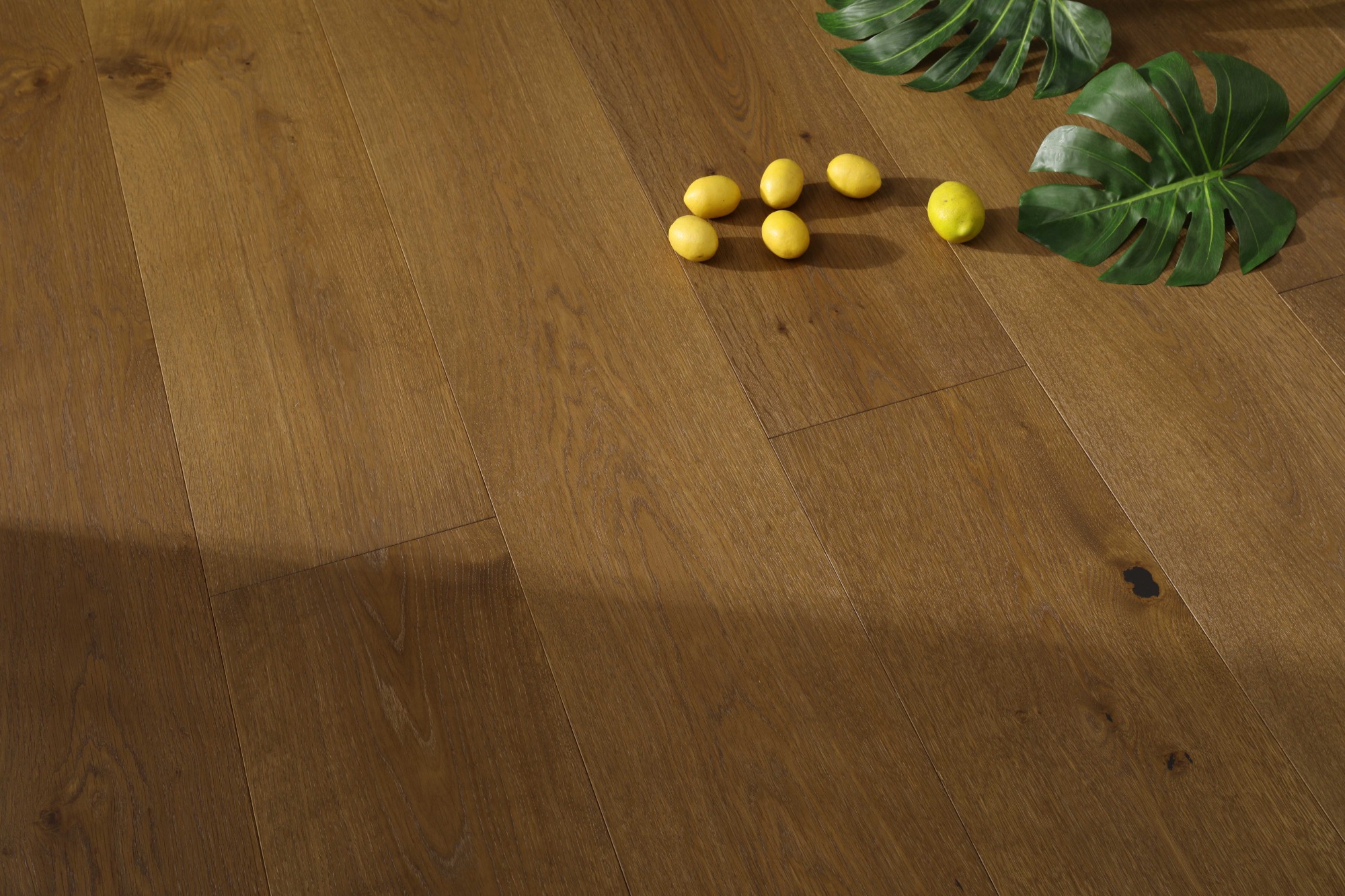 Vandyck Stella 8309