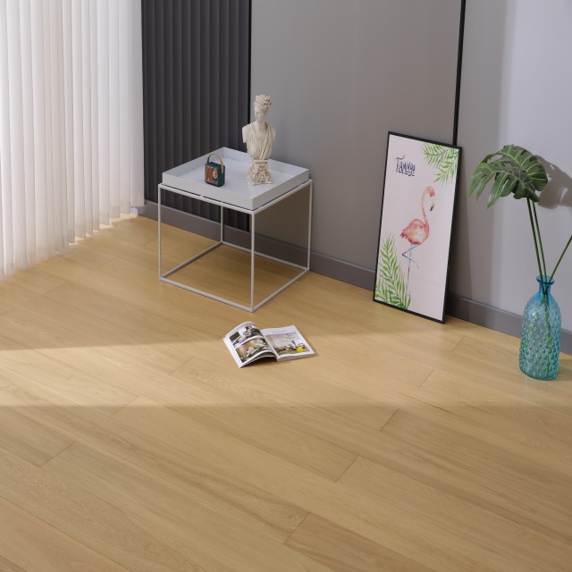 Vandyck Vita 604