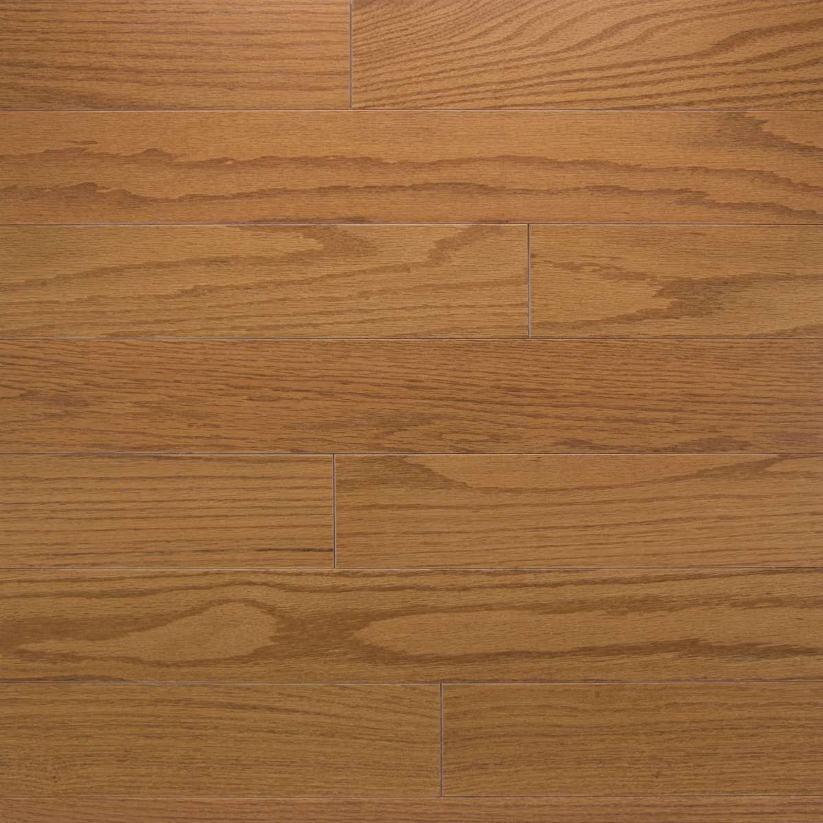 Somerset Color Strip Golden Oak