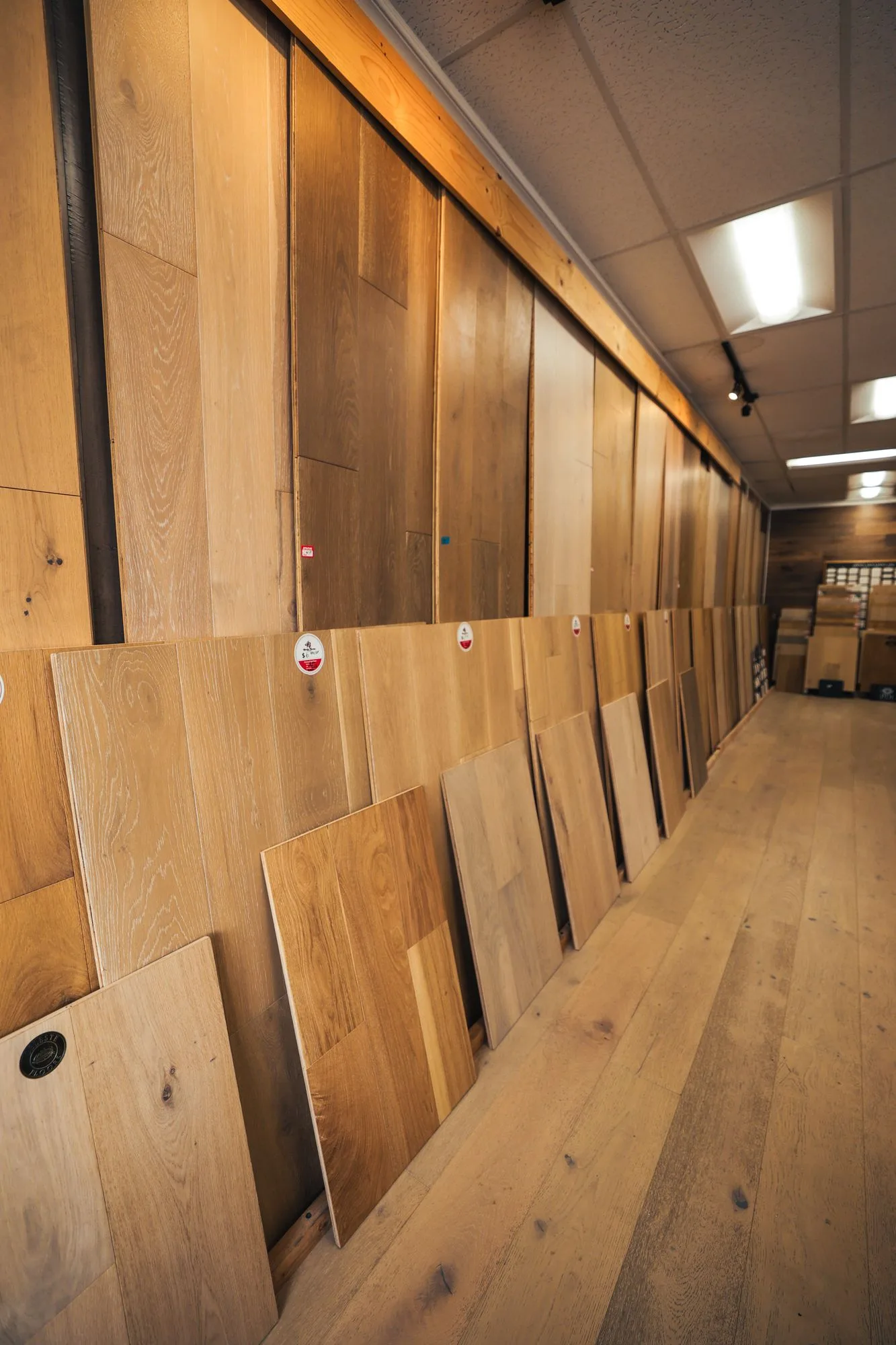 Wall of large oak sample panels in the Glamour Flooring showroom